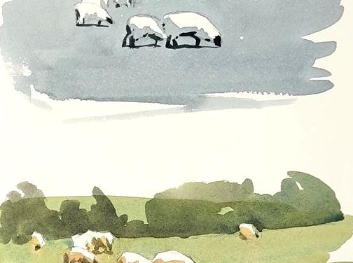 Join an Open-Air Painting Class: Depict the Scenic Wonders of Yarra Valley