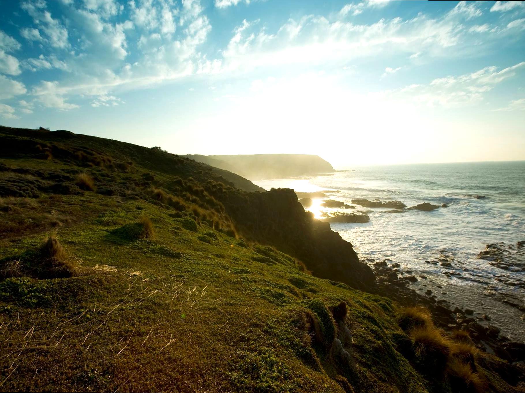 The Nobbies: Explore the Seal Reserve and Coastal Walk