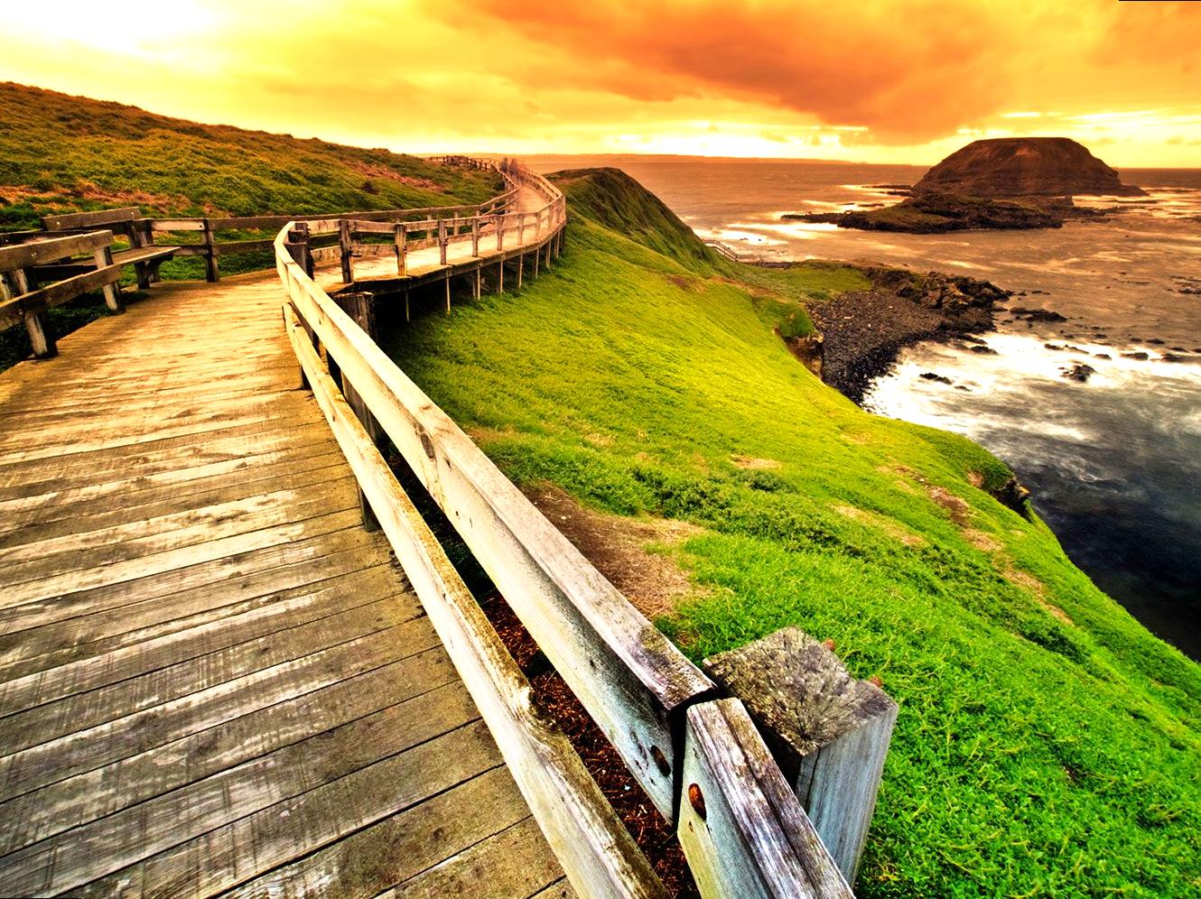 Seal Colonies and Coastal Exploration at The Nobbies